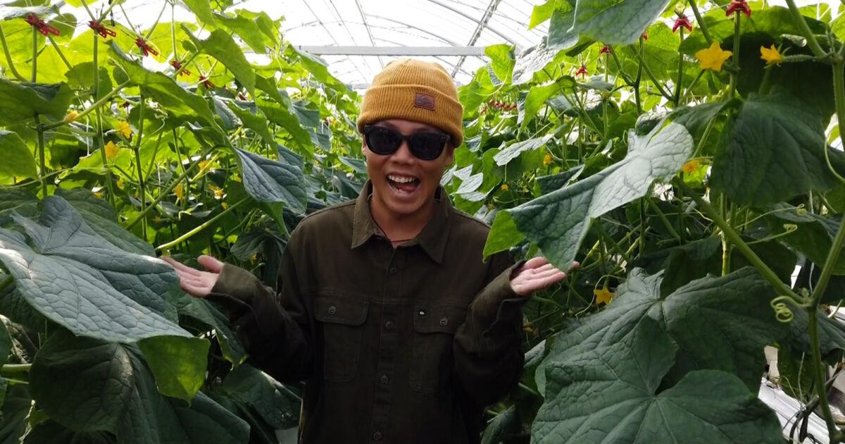 Profile Riaru Ito 2022 Vans Pipe Masters